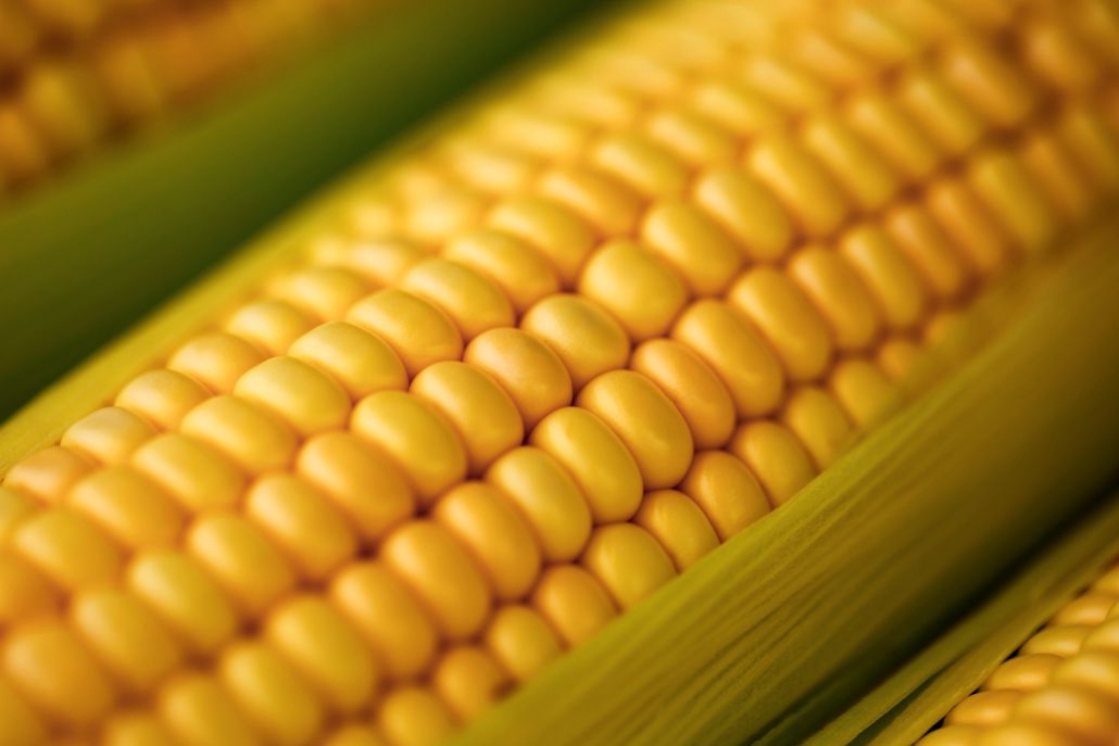 OZ - Bio Mais für Cornflakes